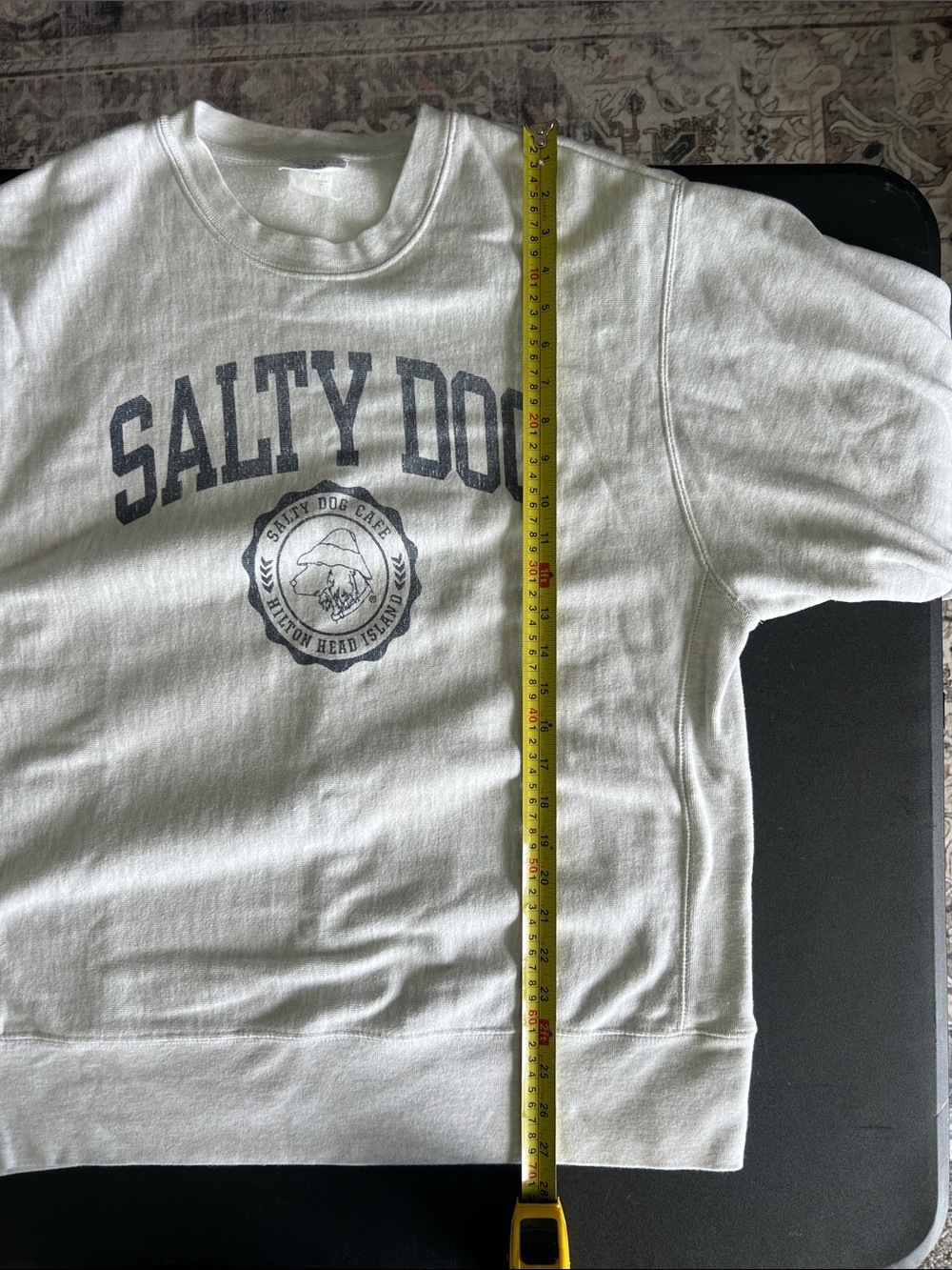 Champion Salty Dog Graphic Sweatshirt in Light Gray Oversized - Picture 7 of 7